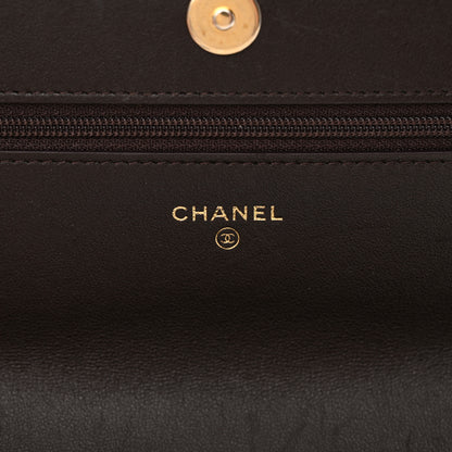 Chanel Lambskin Quilted Chanel 19 Wallet On Chain WOC Dark Brown 6 of 15