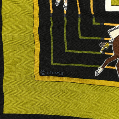 Hermes Cashmere Silk Pani La Shar Pawnee Shawl 140 4 of 5