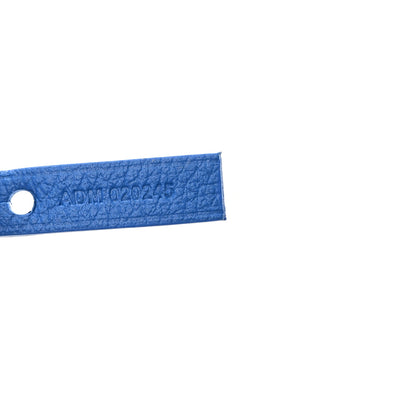 Goyard Goyardine Hulot Junior Saint Louis PM Sky Blue 8 of 11