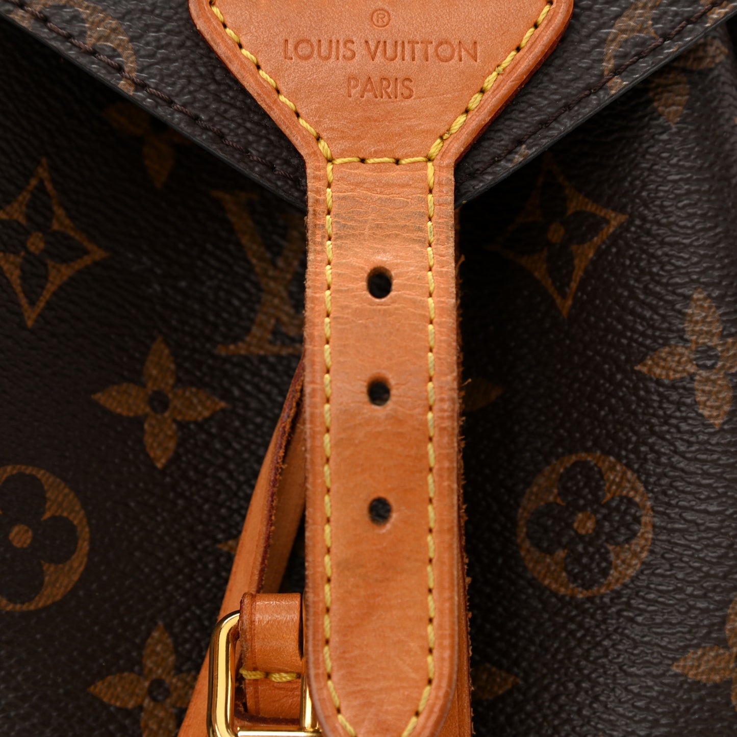 Monogram Montsouris NM Backpack