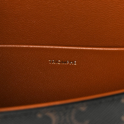 Celine Canvas Calfskin Triomphe Shoulder Bag Tan 7 of 11