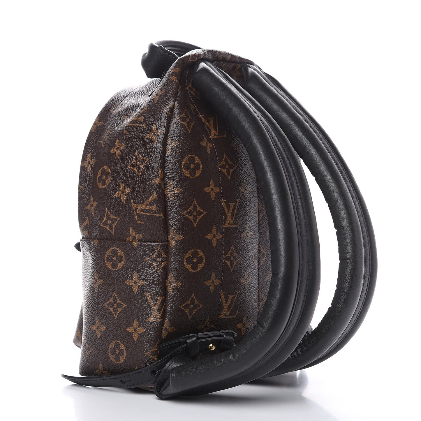 Monogram Palm Springs Backpack PM