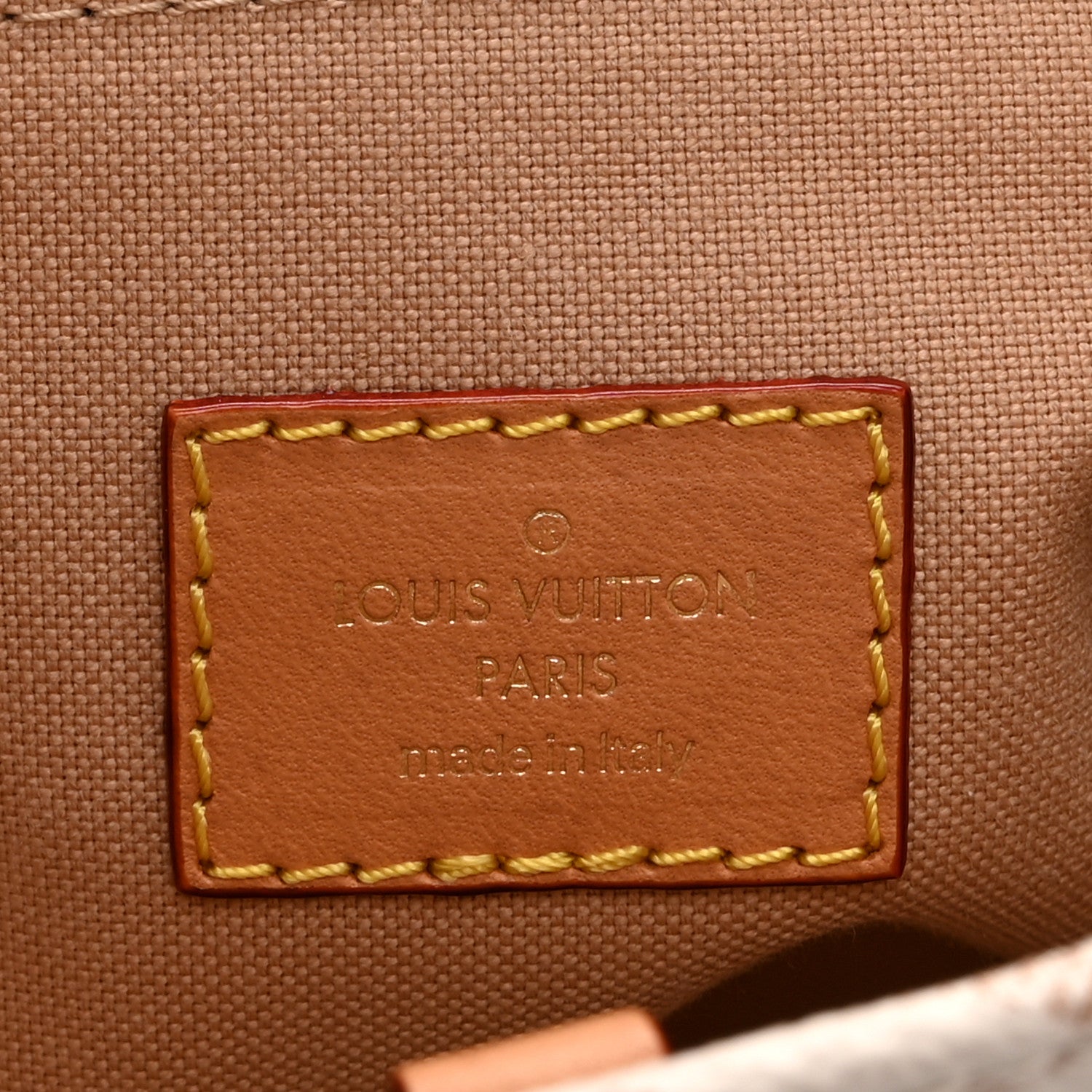 Louis Vuitton Monogram Dune Giant Onthego PM 6 of 10