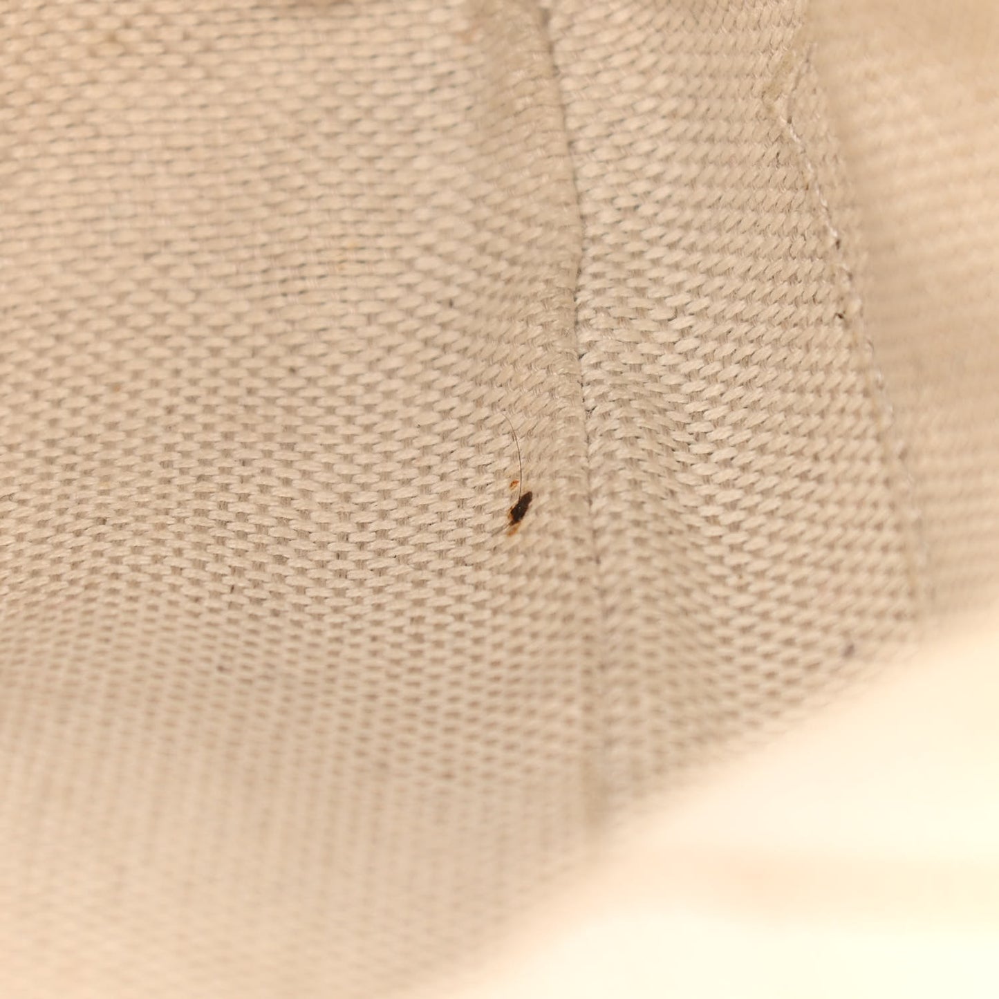 Pebbled Calfskin Small Soho Disco Bag Black