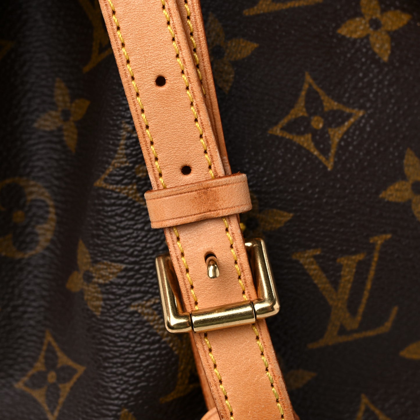 Monogram Mini Montsouris Backpack