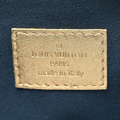 Louis Vuitton Lambskin Embossed Monogram Coussin PM Gold 8 of 11