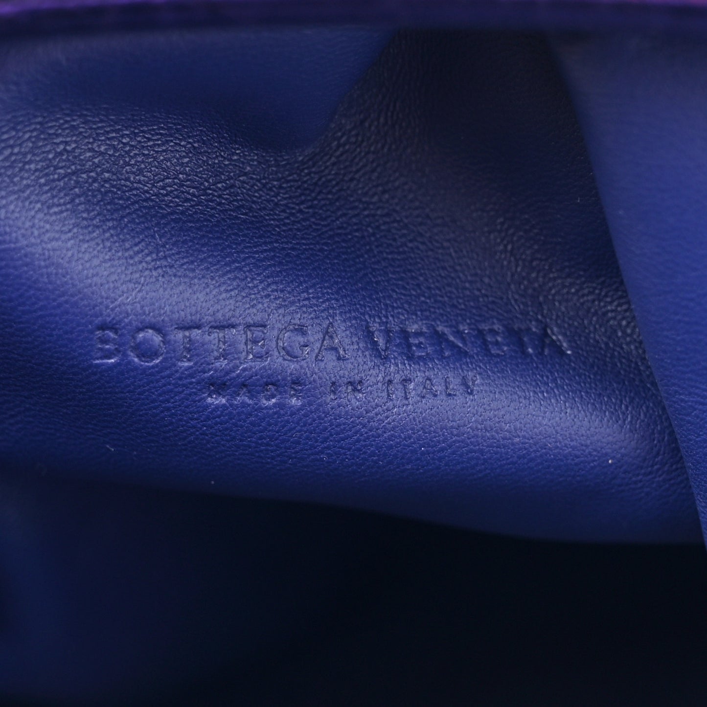 Metallic Crinkled Lambskin The Pouch Viola