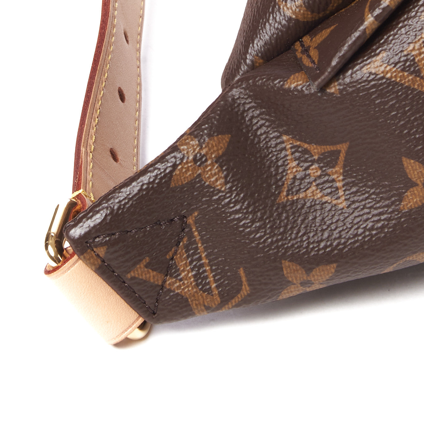 Louis Vuitton Monogram Bumbag 5 of 9