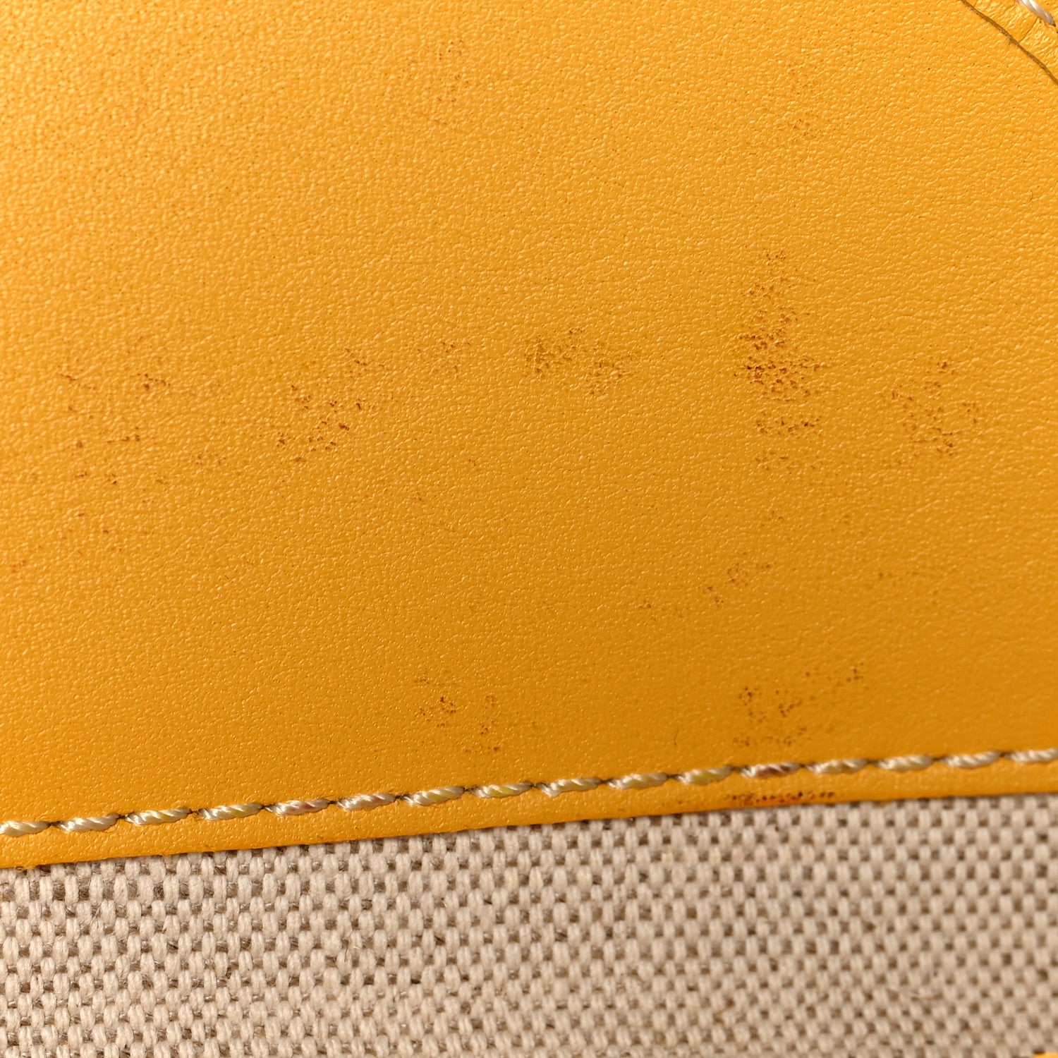 Goyard Goyardine Saint Louis PM Yellow 11 of 16