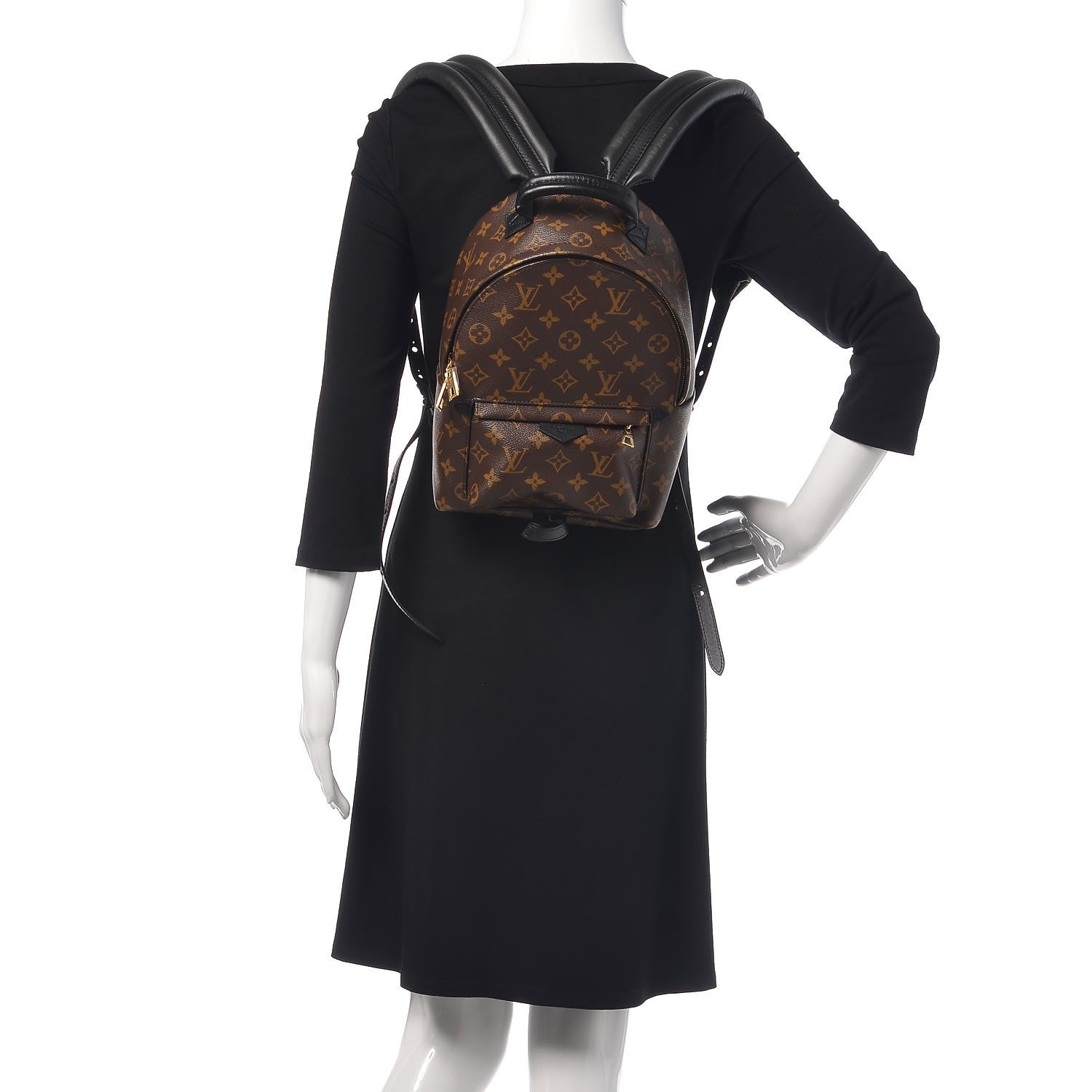 Louis Vuitton Monogram Palm Springs Backpack PM 2 of 7