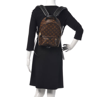 Louis Vuitton Monogram Palm Springs Backpack PM 2 of 7