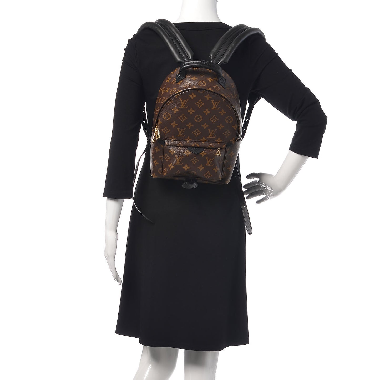 Monogram Palm Springs Backpack PM