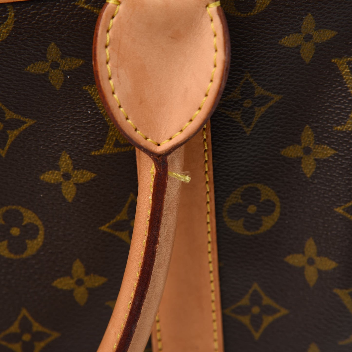 Monogram Sac Chien 50 Pet Carrier