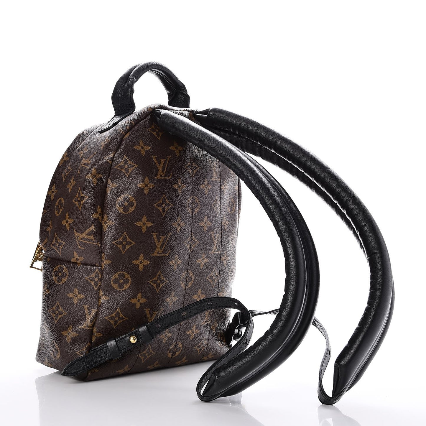 Monogram Palm Springs Backpack PM
