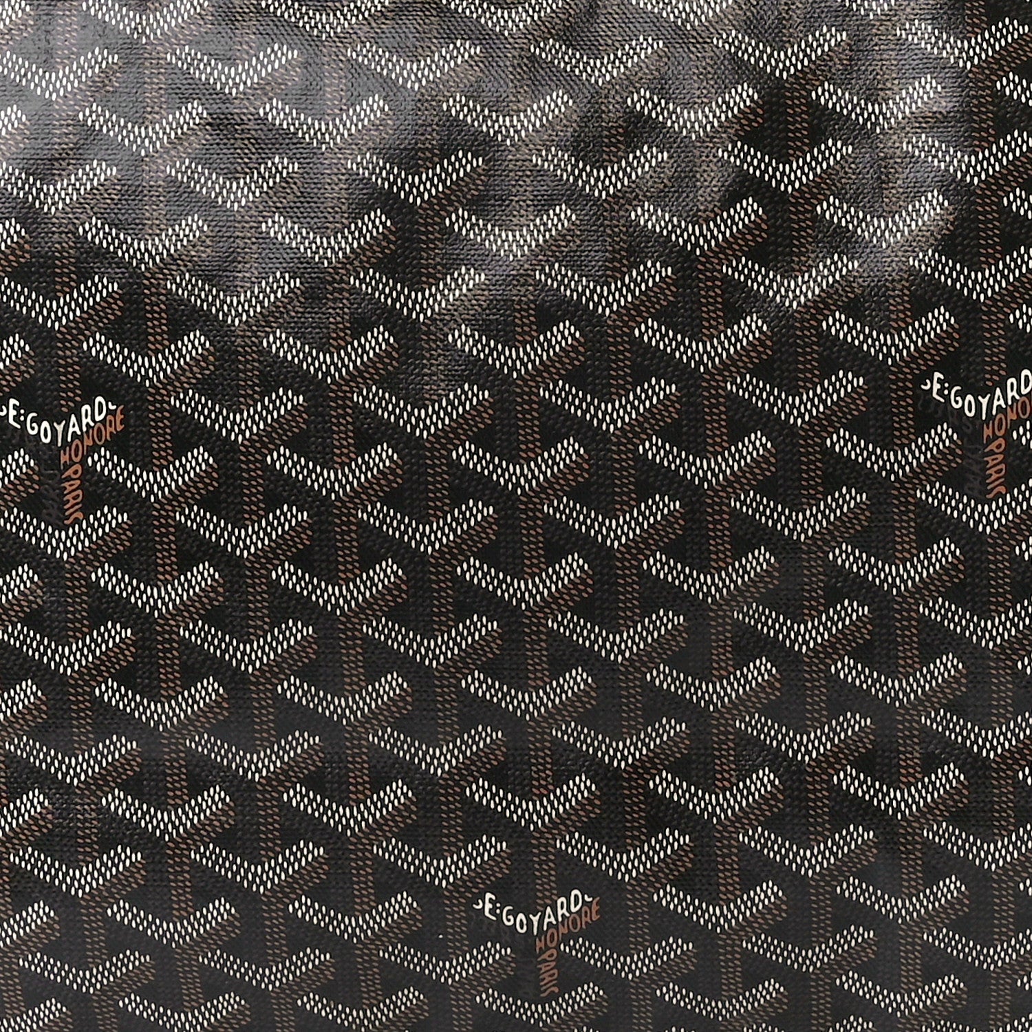 Goyard Goyardine Saint Louis PM Black 7 of 12