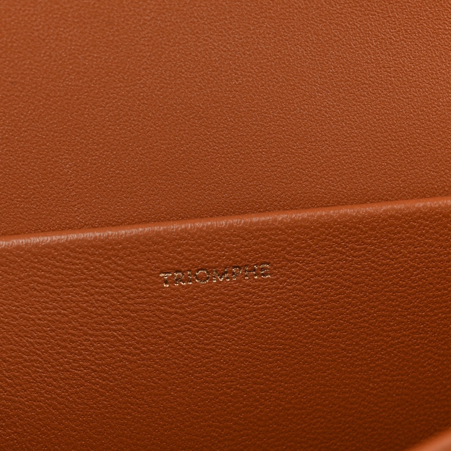 Celine Triomphe Canvas Calfskin Medium Triomphe Bag Tan 7 of 10