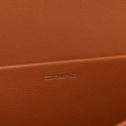 Celine Triomphe Canvas Calfskin Medium Triomphe Bag Tan 7 of 10