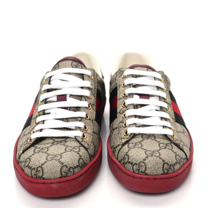 Gucci GG Supreme Monogram Ayers Mens New Ace Low-Top Sneaker 5 Blue Red 2 of 8