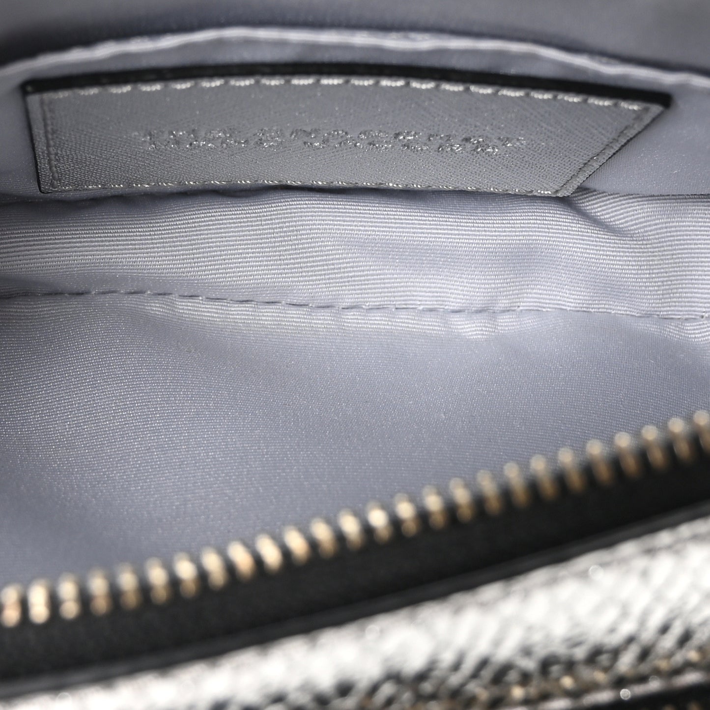 Metallic Sequin Snake Embossed Calfskin Stripe Snapshot Camera Bag Silver