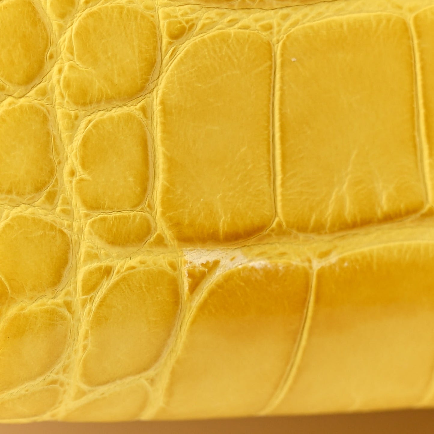 Matte Alligator Mini Kelly Sellier 20 Mimosa