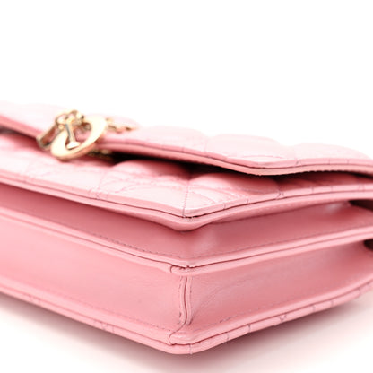 Christian Dior Lambskin Cannage Mini My Dior Top Handle Clutch 10 of 11
