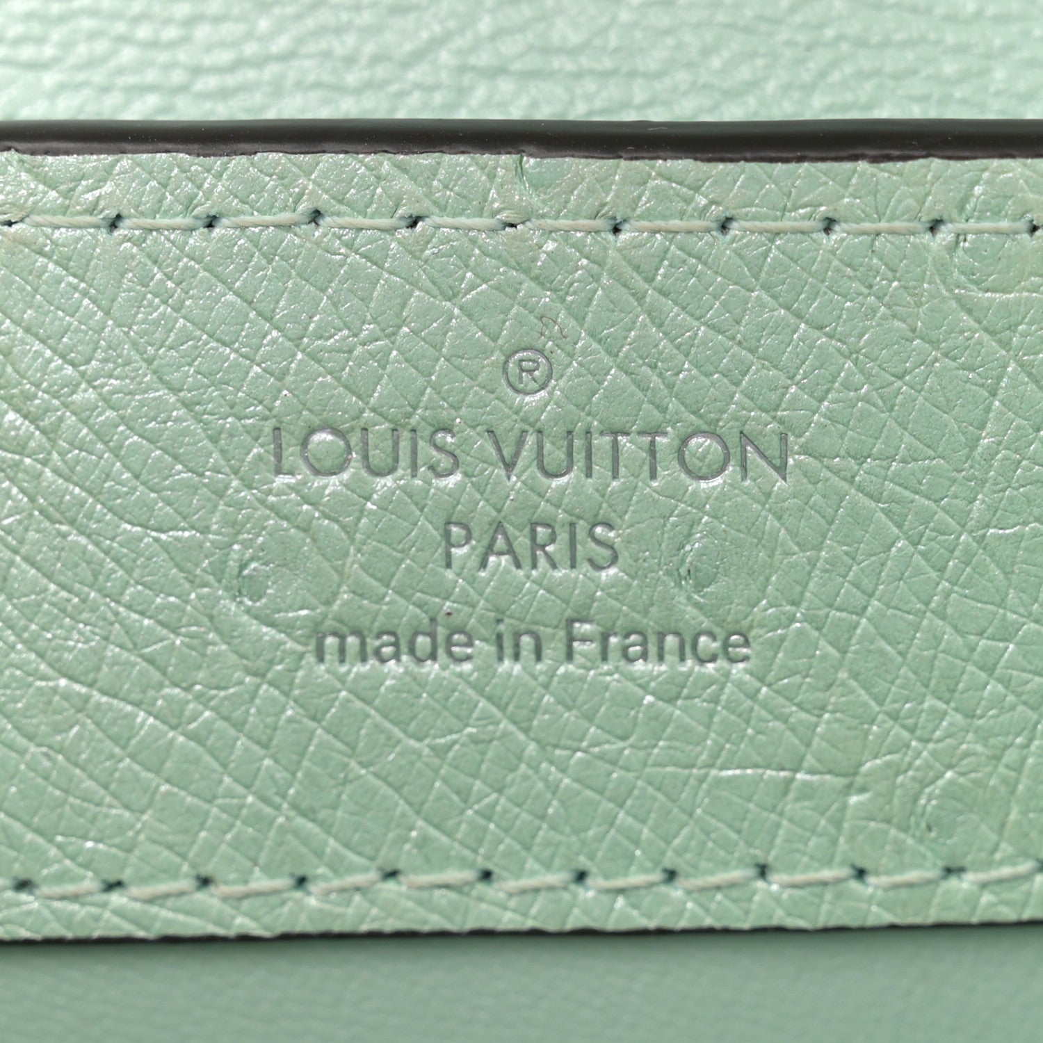 Louis Vuitton Iridescent Ostrich Capucines Mini Vert d’Eau 6 of 13
