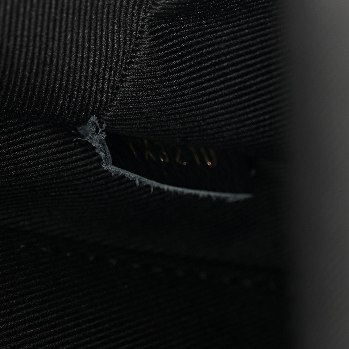 Reverse Monogram Palm Springs Backpack Mini