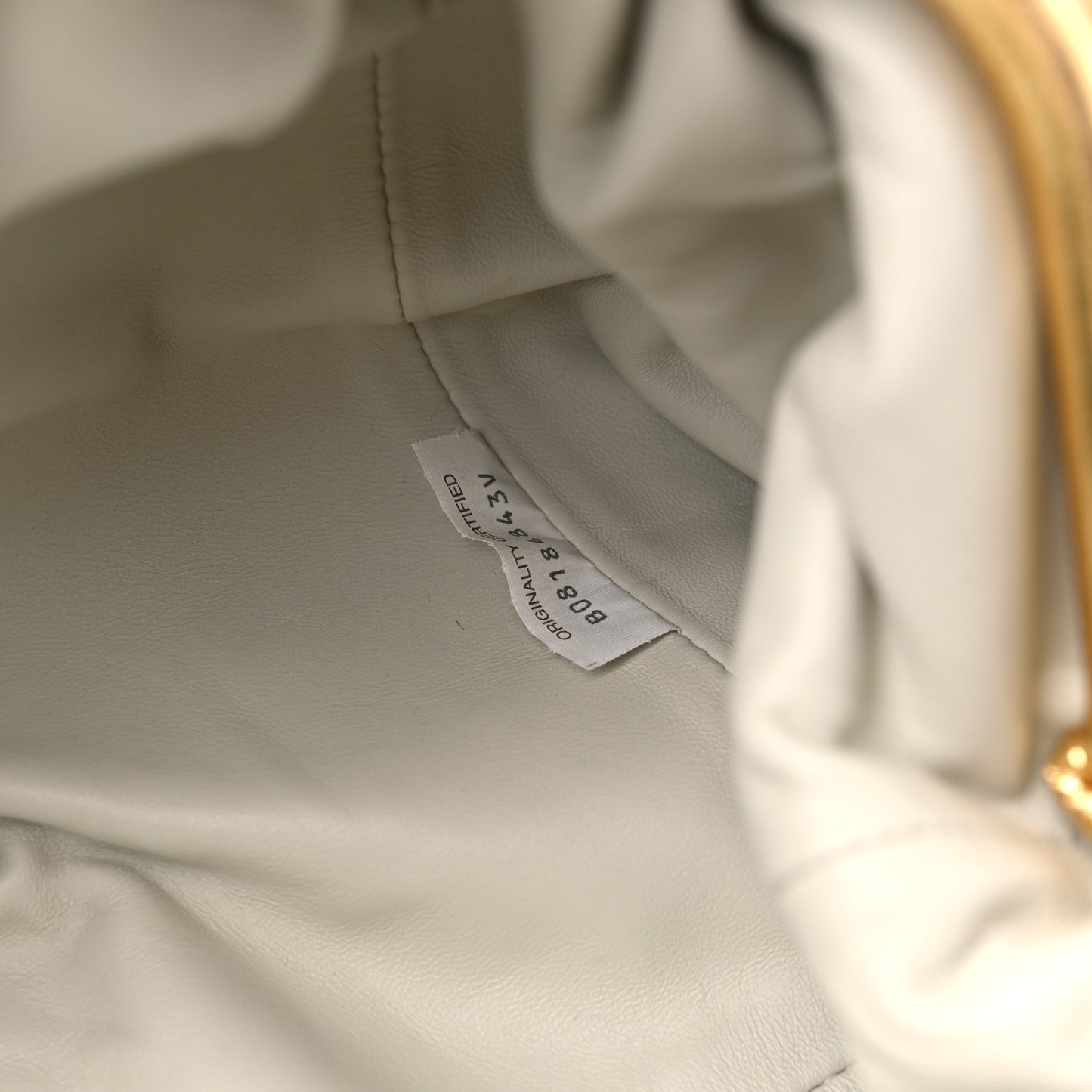 Metallic Crinkled Lambskin The Pouch Oversized Clutch Oro
