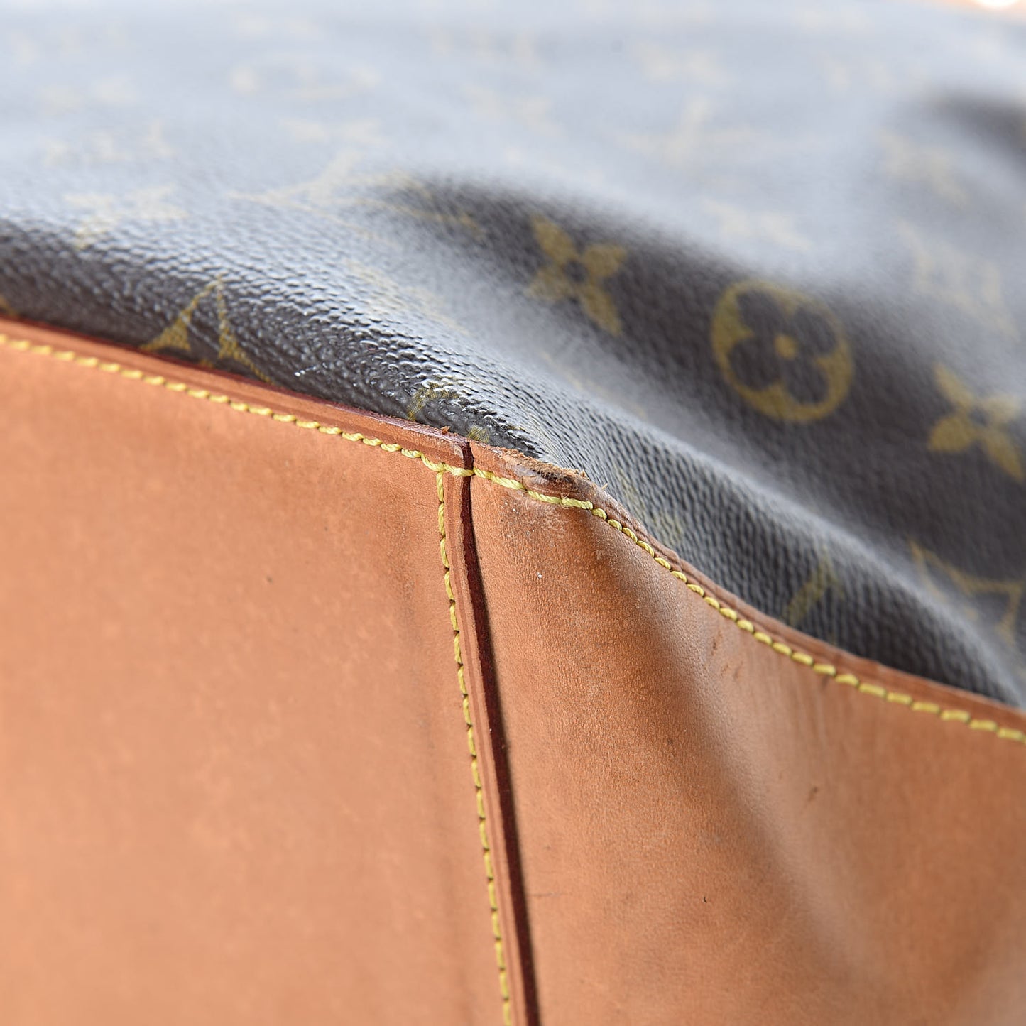 Monogram Cabas Mezzo