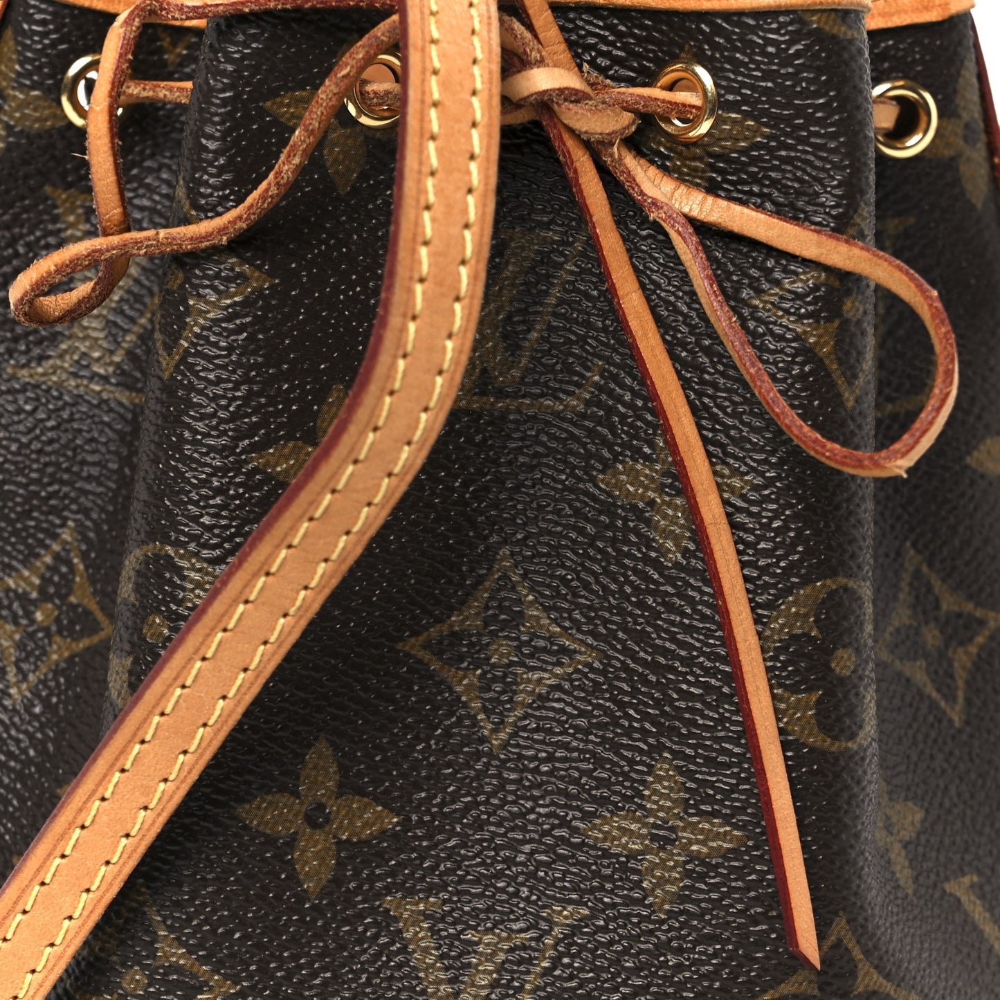 Monogram Nano Noe
