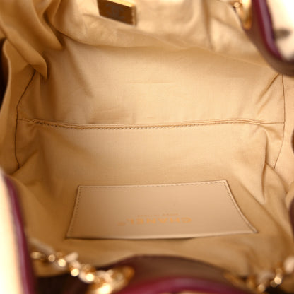 Chanel Pony Hair Mini Chanel 25 Handbag Beige Black 5 of 10