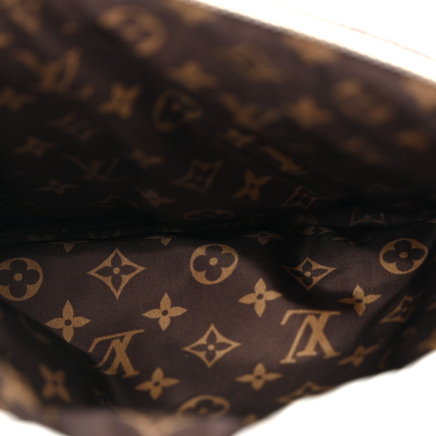 Louis Vuitton Econyl Monogram Pillow Bumbag Silver 5 of 13