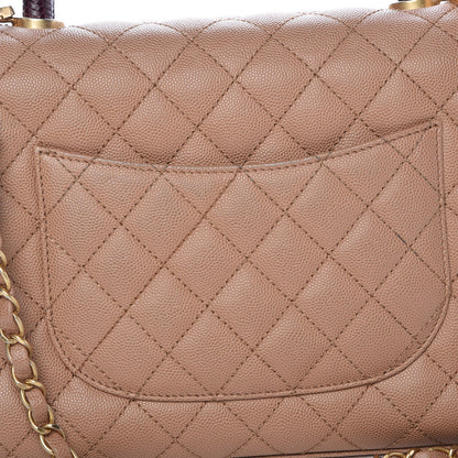 Chanel Caviar Lizard Quilted Small Coco Handle Flap Beige 8 of 12