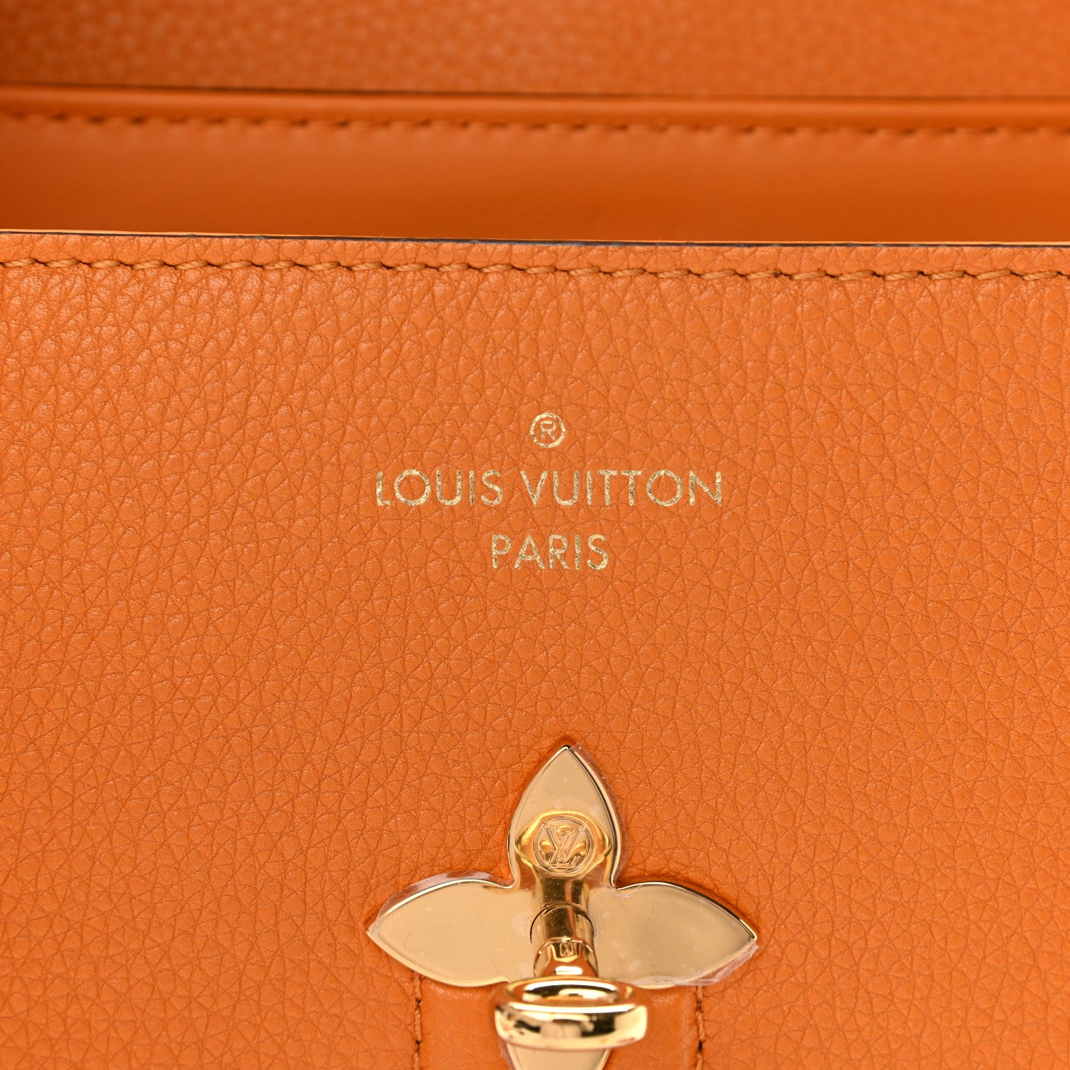 Louis Vuitton Grained Smooth Calfskin Rose Des Vents PM Amaretto 6 of 11