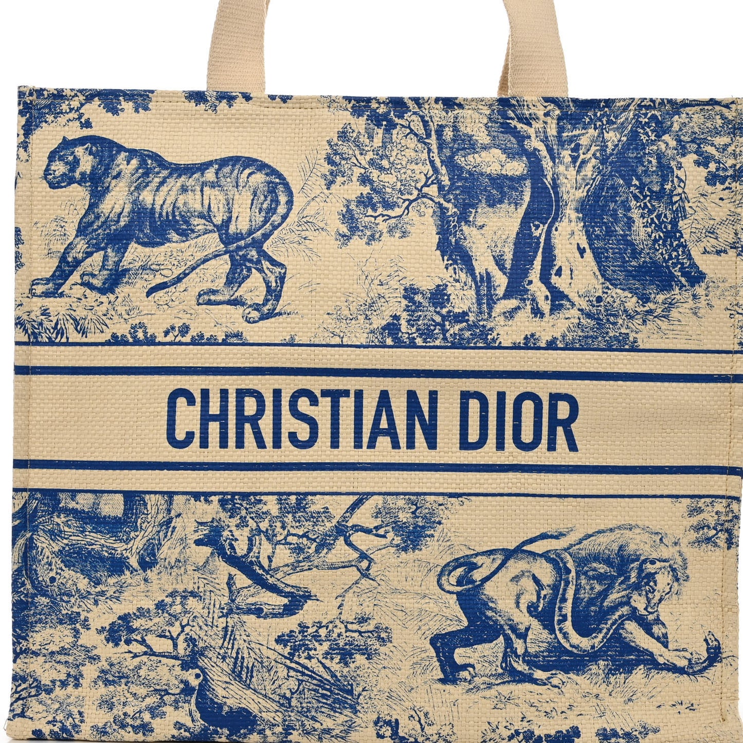 Straw Dioriviera Tote Beige