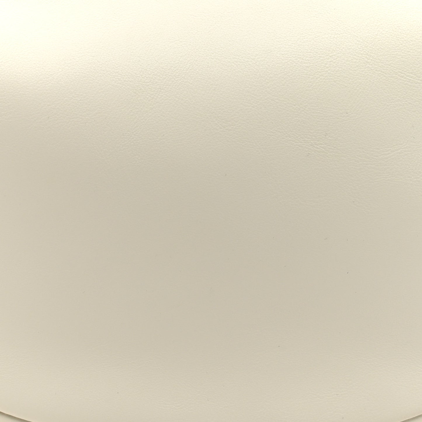 Vitello Grace Matte Small Fendigraphy Hobo Bag White Ice