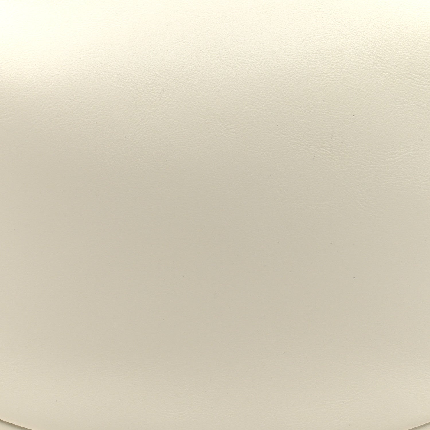 Fendi Vitello Grace Matte Small Fendigraphy Hobo Bag White Ice 8 of 10