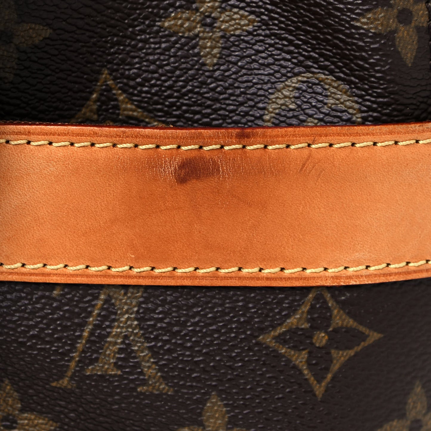 Monogram Carryall
