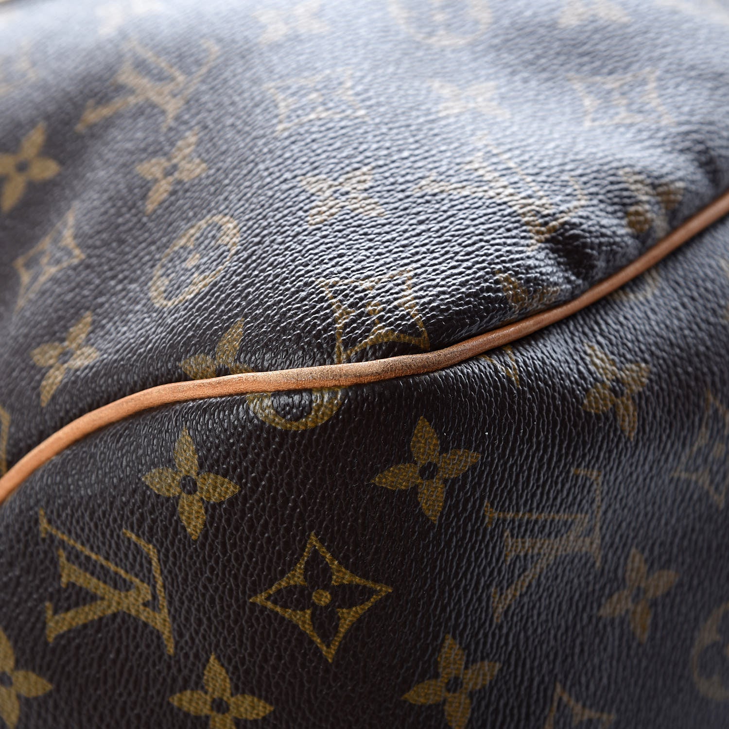 Louis Vuitton Monogram Delightful GM 16 of 20