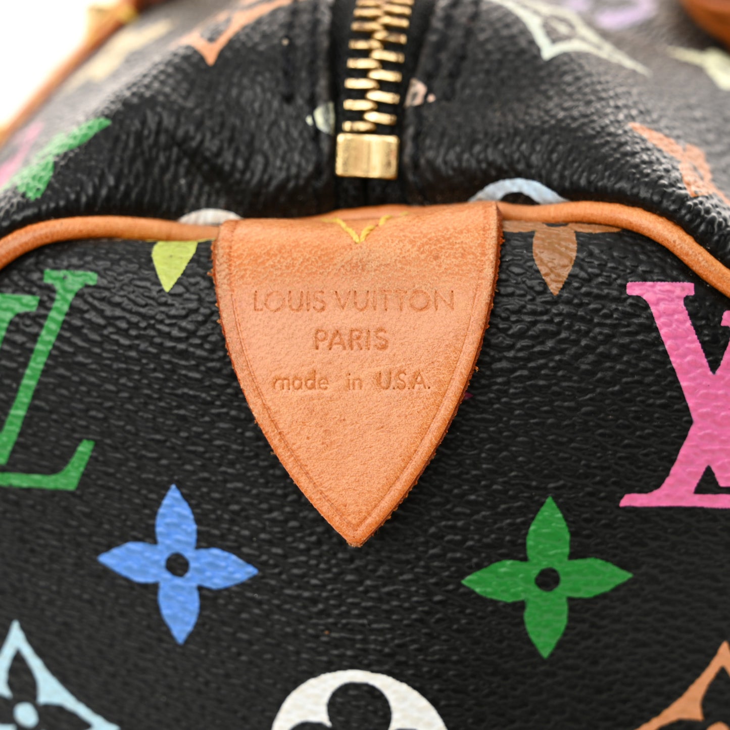 Monogram Multicolor Speedy 30 Black