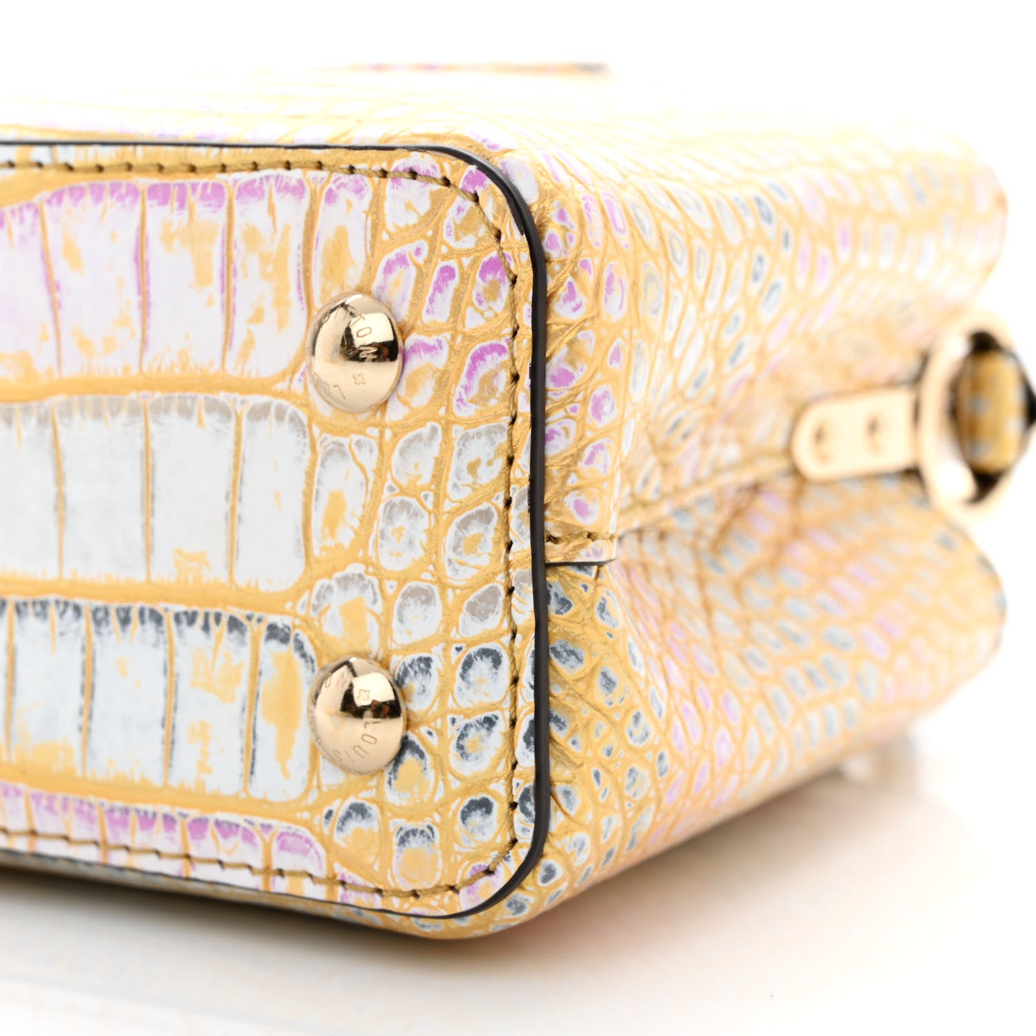 Louis Vuitton Alligator Mini Capucines Royal Garden 9 of 9