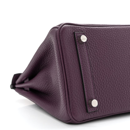 Hermes Togo Birkin 25 Cassis 10 of 12
