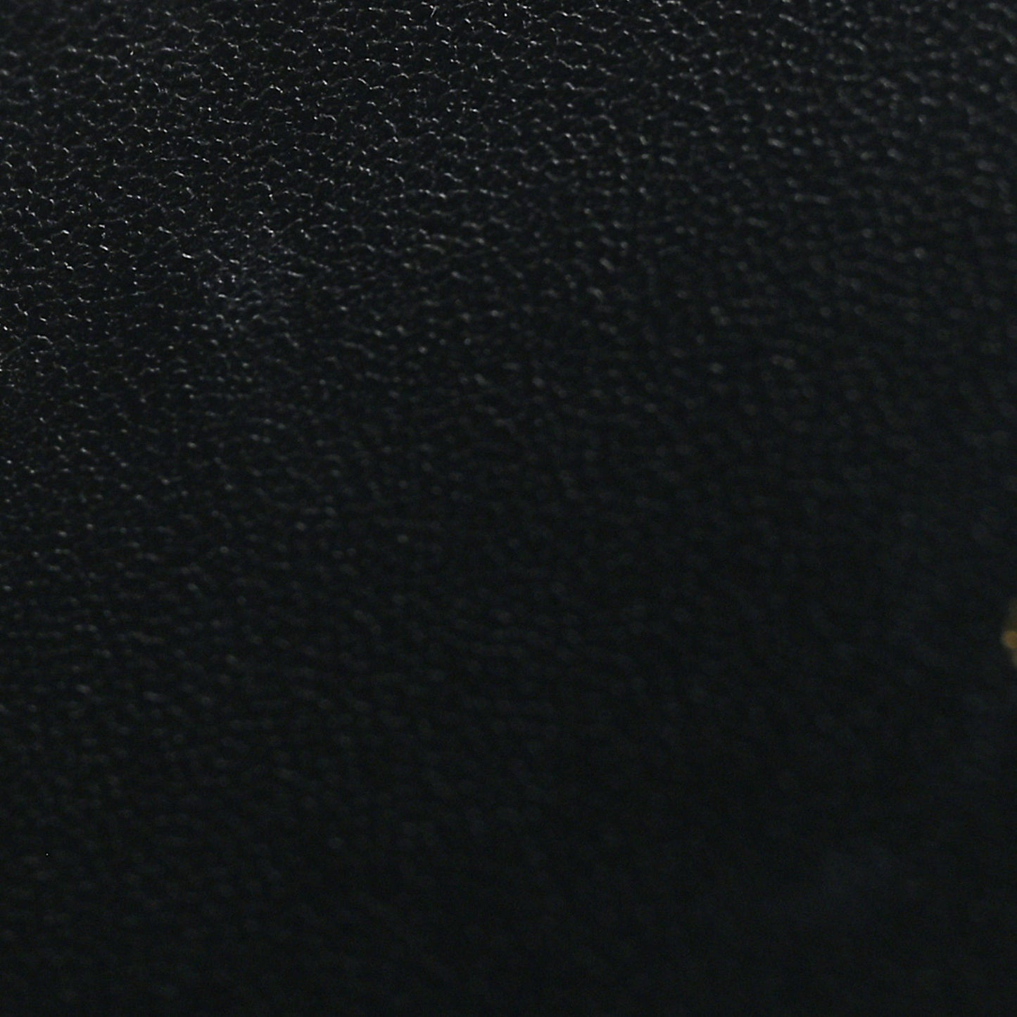 Supple Calfskin Cannage Caro Belt Pouch with Chain Black