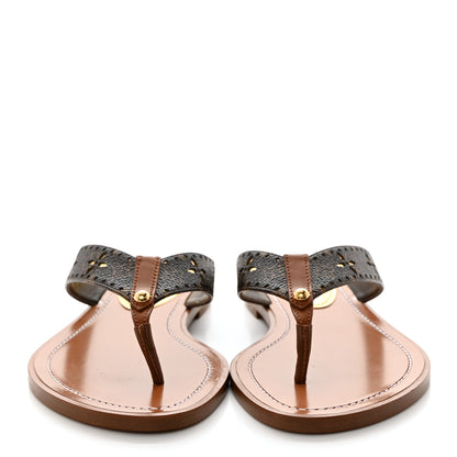 Louis Vuitton Monogram Sunny Flat Thong Sandals 36 Brown 2 of 10