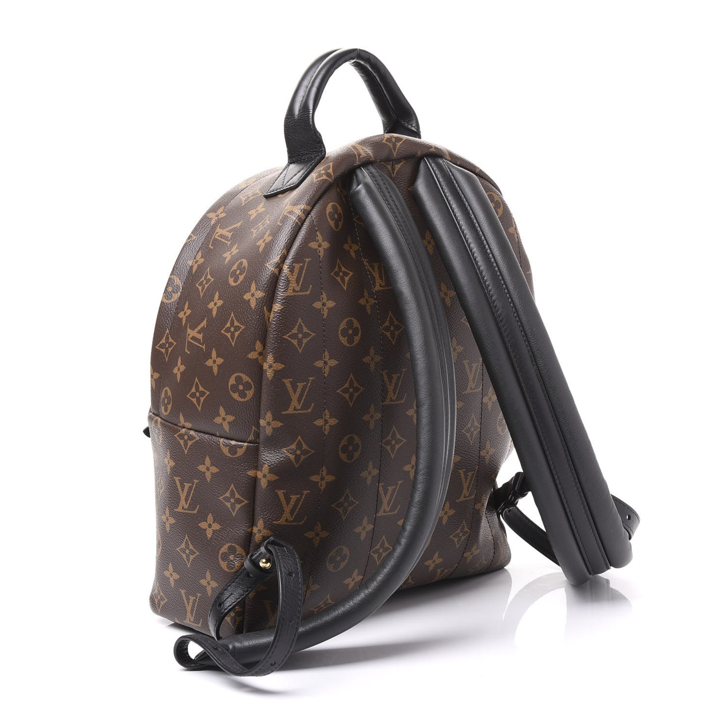 Monogram Palm Springs Backpack MM