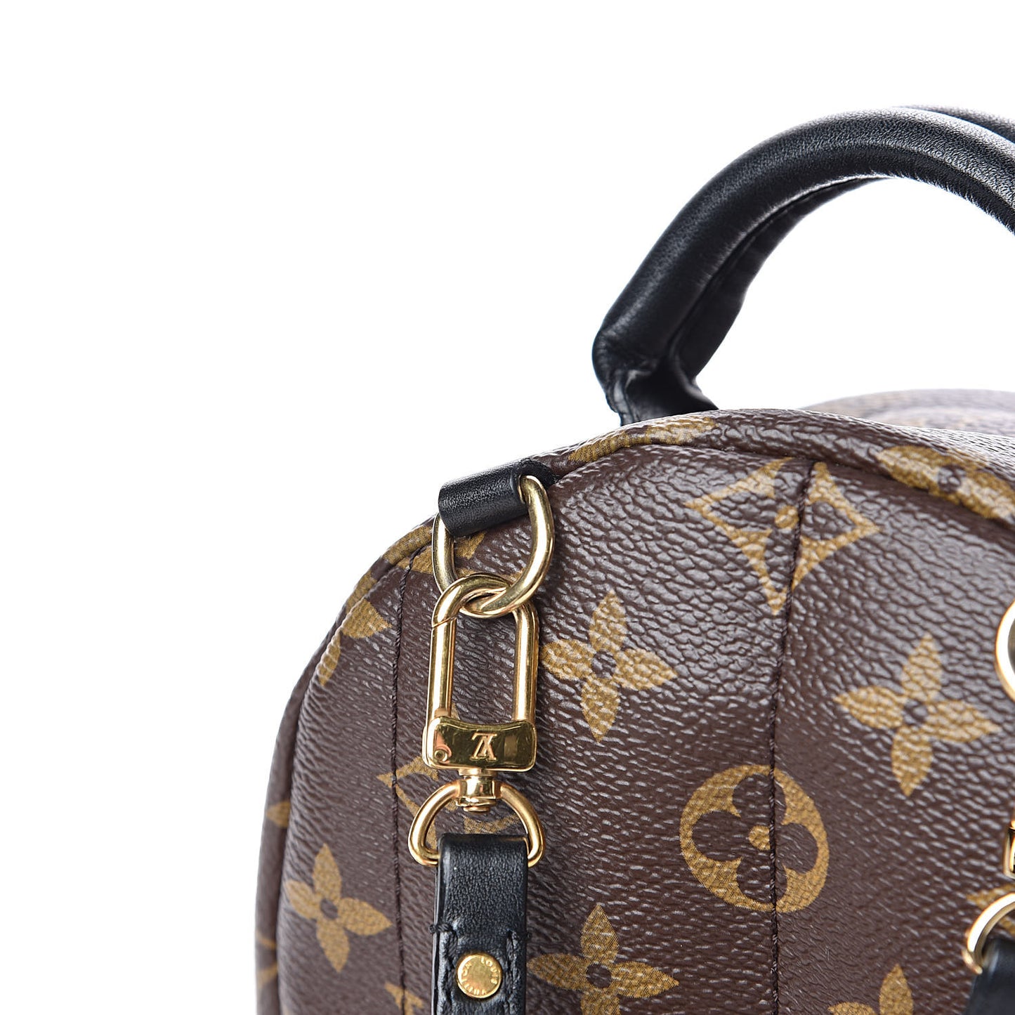 Monogram Palm Springs Backpack Mini