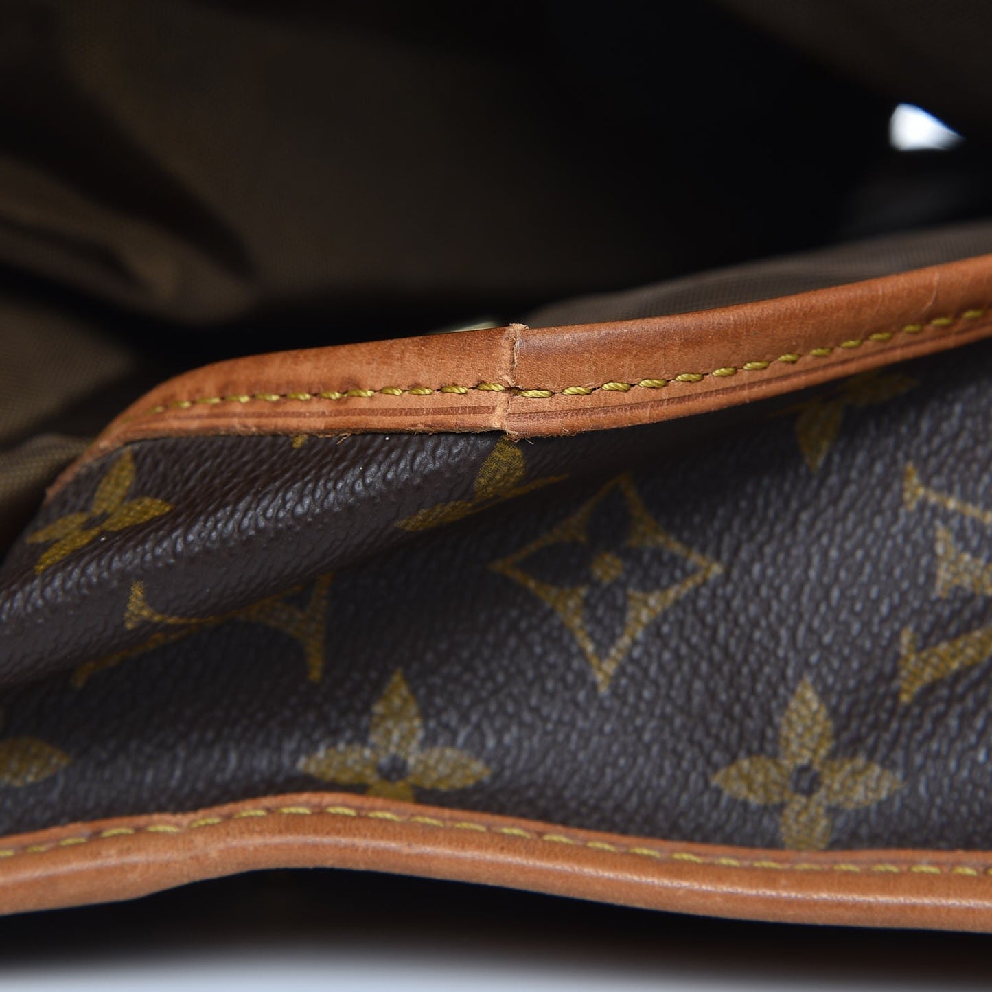 Monogram Garment Bag