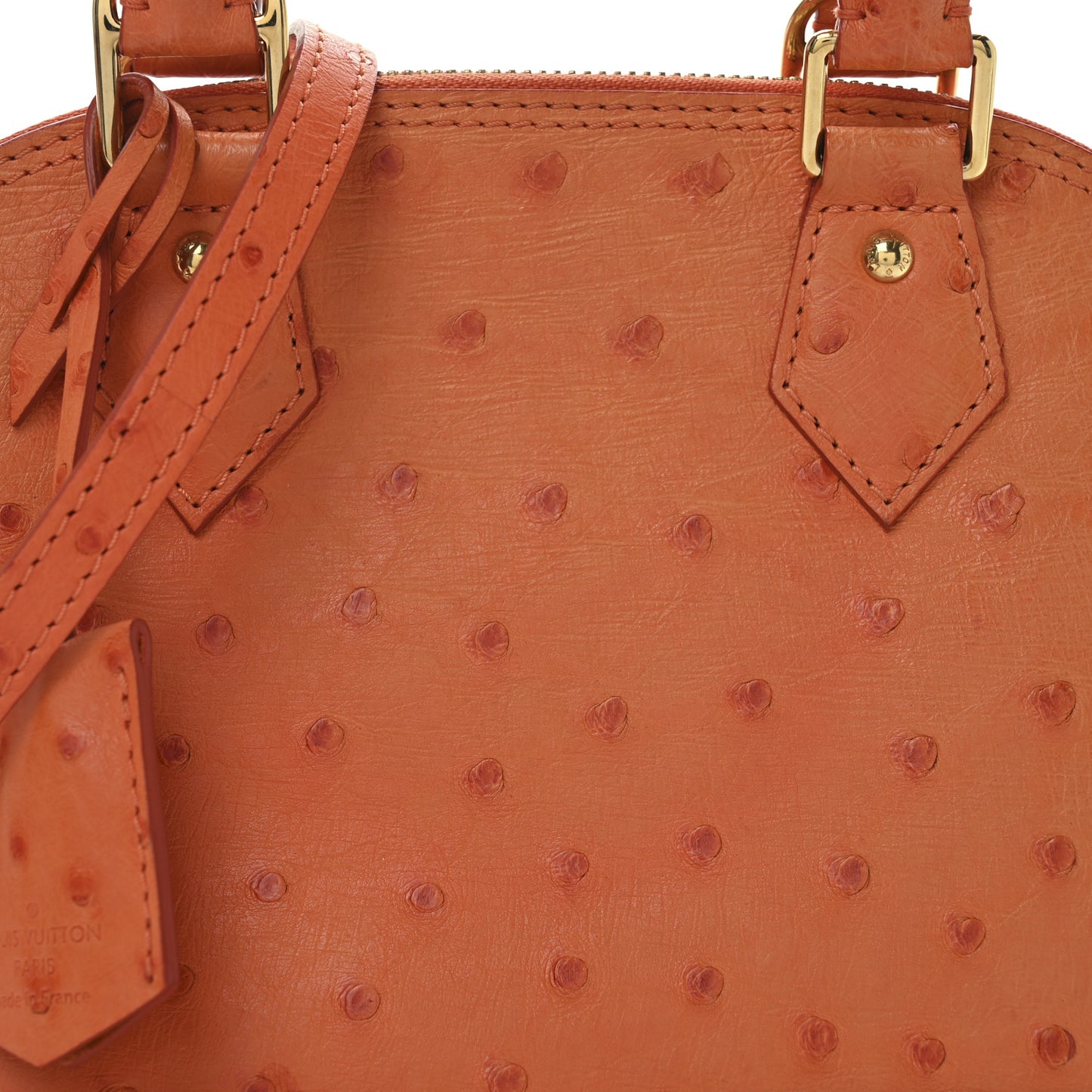 Ostrich Alma BB Piment
