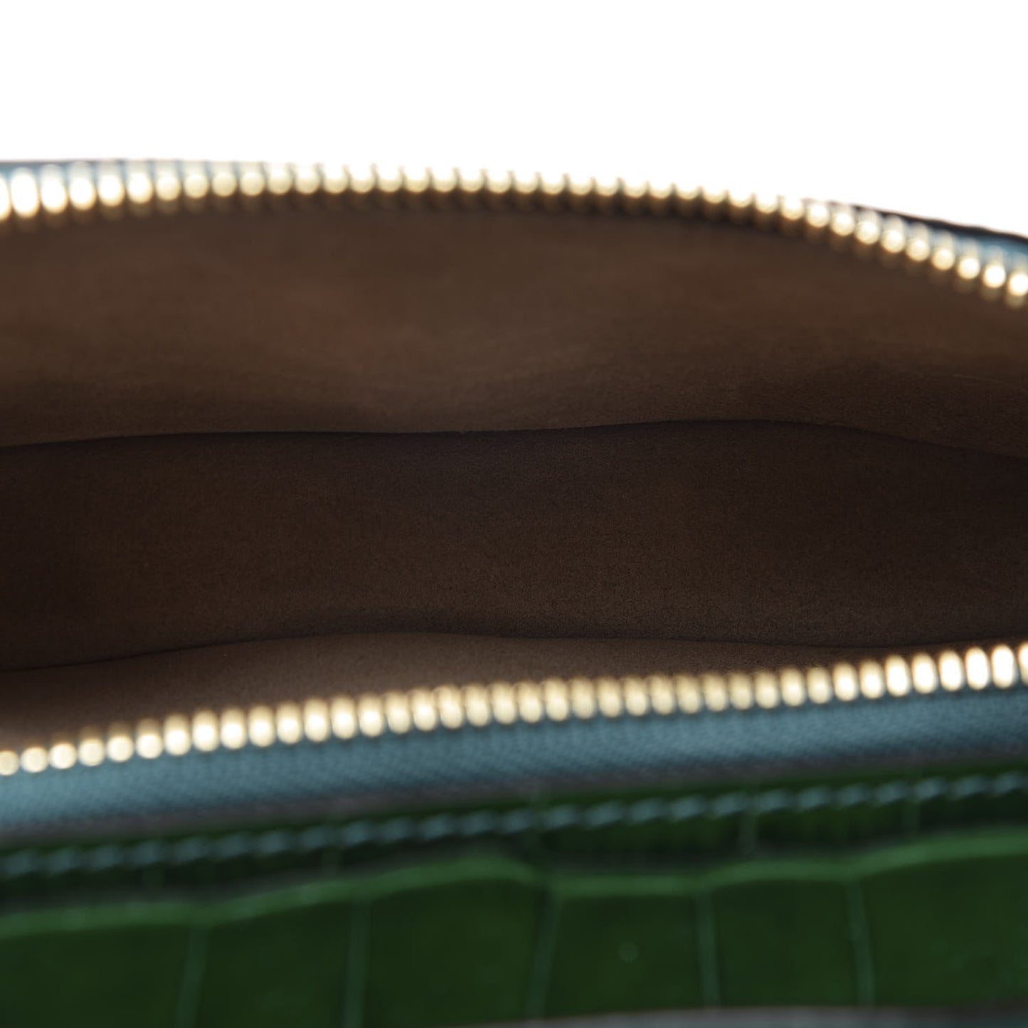 Calfskin Crocodile Embossed Mini C Vanity Bag Woodsy Green