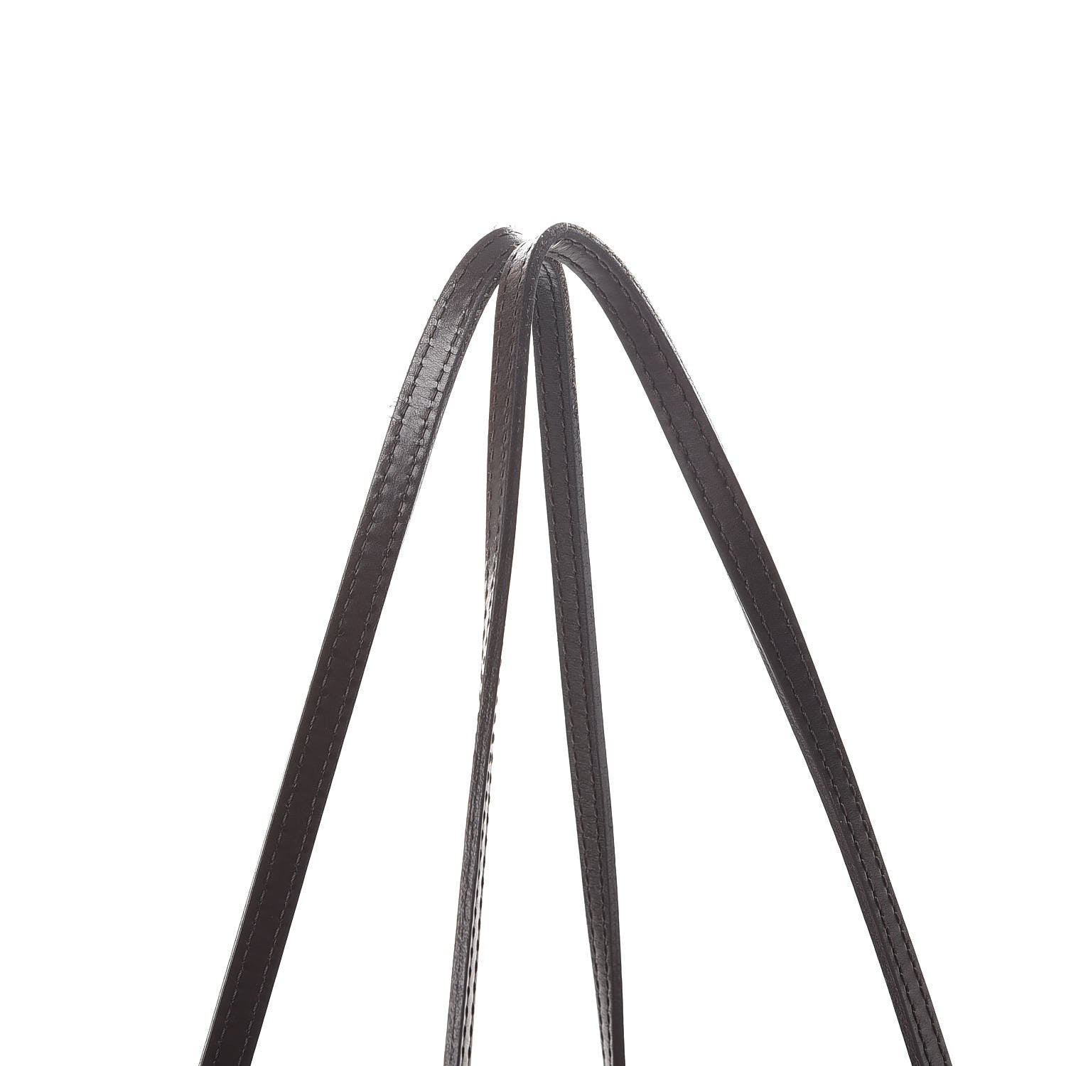 Louis Vuitton Damier Ebene Neverfull GM 14 of 19